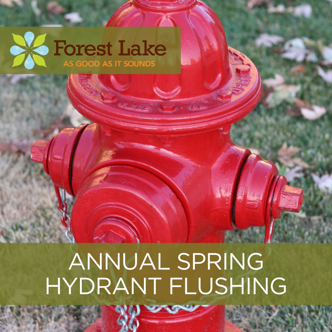 Hydrant Flushing